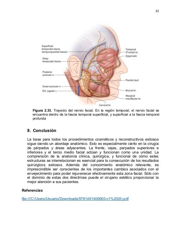 anatomia quirurgica facial White girls get in ass